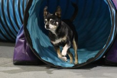 004-SAAC-AKC-24Aug19-ExMstr-JWW