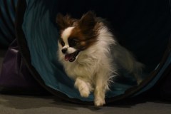 007-SAAC-AKC-24Aug19-ExMstr-JWW