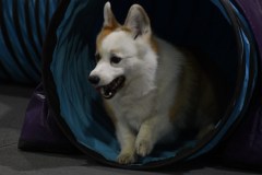 008-SAAC-AKC-24Aug19-ExMstr-JWW