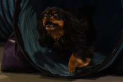 010-SAAC-AKC-24Aug19-ExMstr-JWW