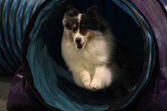 011-SAAC-AKC-24Aug19-ExMstr-JWW