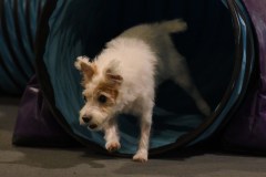 013-SAAC-AKC-24Aug19-ExMstr-JWW
