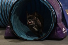 014-SAAC-AKC-24Aug19-ExMstr-JWW
