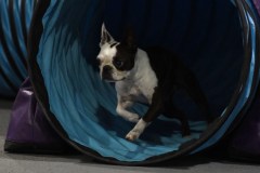 018-SAAC-AKC-24Aug19-ExMstr-JWW