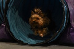 019-SAAC-AKC-24Aug19-ExMstr-JWW