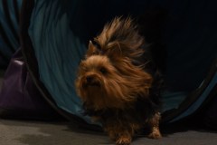 020-SAAC-AKC-24Aug19-ExMstr-JWW