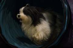 021-SAAC-AKC-24Aug19-ExMstr-JWW