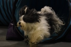 022-SAAC-AKC-24Aug19-ExMstr-JWW
