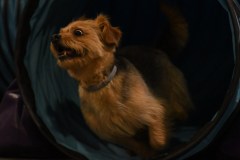 024-SAAC-AKC-24Aug19-ExMstr-JWW