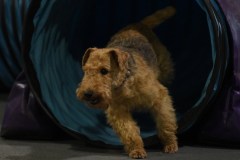 027-SAAC-AKC-24Aug19-ExMstr-JWW