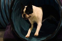 028-SAAC-AKC-24Aug19-ExMstr-JWW