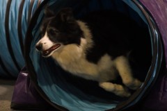 032-SAAC-AKC-24Aug19-ExMstr-JWW