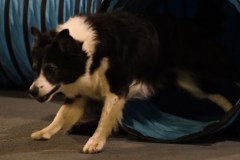 033-SAAC-AKC-24Aug19-ExMstr-JWW