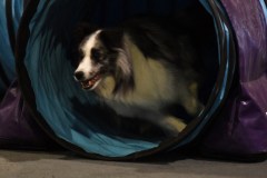 034-SAAC-AKC-24Aug19-ExMstr-JWW