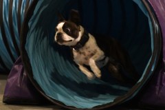 036-SAAC-AKC-24Aug19-ExMstr-JWW
