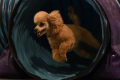 037-SAAC-AKC-24Aug19-ExMstr-JWW