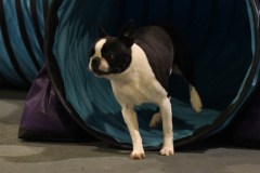 038-SAAC-AKC-24Aug19-ExMstr-JWW