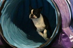039-SAAC-AKC-24Aug19-ExMstr-JWW