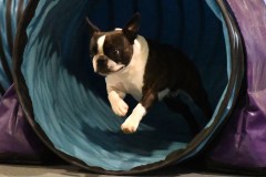 040-SAAC-AKC-24Aug19-ExMstr-JWW