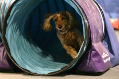 041-SAAC-AKC-24Aug19-ExMstr-JWW