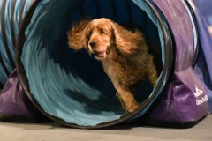 042-SAAC-AKC-24Aug19-ExMstr-JWW