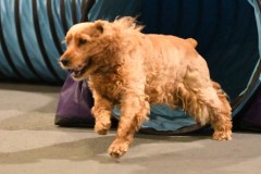 044-SAAC-AKC-24Aug19-ExMstr-JWW