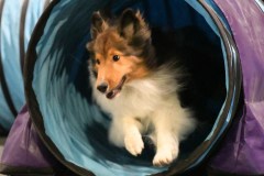 045-SAAC-AKC-24Aug19-ExMstr-JWW