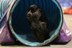 046-SAAC-AKC-24Aug19-ExMstr-JWW