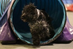 047-SAAC-AKC-24Aug19-ExMstr-JWW