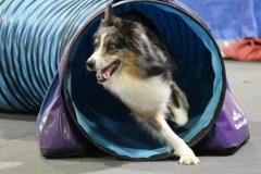 048-SAAC-AKC-24Aug19-ExMstr-JWW