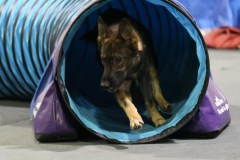 049-SAAC-AKC-24Aug19-ExMstr-JWW
