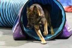 050-SAAC-AKC-24Aug19-ExMstr-JWW