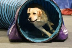 052-SAAC-AKC-24Aug19-ExMstr-JWW