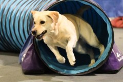 053-SAAC-AKC-24Aug19-ExMstr-JWW