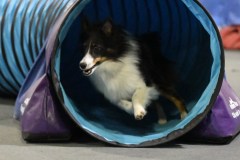 054-SAAC-AKC-24Aug19-ExMstr-JWW