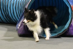 055-SAAC-AKC-24Aug19-ExMstr-JWW
