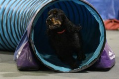 056-SAAC-AKC-24Aug19-ExMstr-JWW