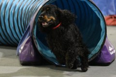 057-SAAC-AKC-24Aug19-ExMstr-JWW