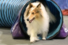 059-SAAC-AKC-24Aug19-ExMstr-JWW