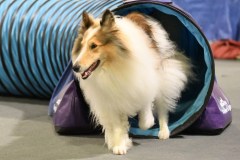 060-SAAC-AKC-24Aug19-ExMstr-JWW
