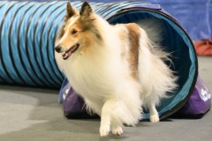 061-SAAC-AKC-24Aug19-ExMstr-JWW