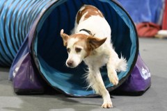 064-SAAC-AKC-24Aug19-ExMstr-JWW