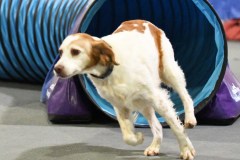 065-SAAC-AKC-24Aug19-ExMstr-JWW