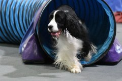 066-SAAC-AKC-24Aug19-ExMstr-JWW