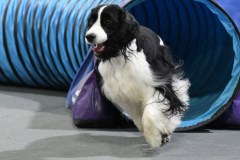 067-SAAC-AKC-24Aug19-ExMstr-JWW