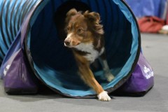 068-SAAC-AKC-24Aug19-ExMstr-JWW