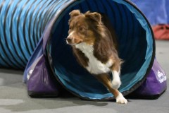 069-SAAC-AKC-24Aug19-ExMstr-JWW