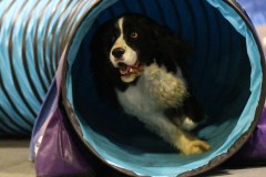 071-SAAC-AKC-24Aug19-ExMstr-JWW