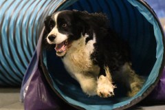 072-SAAC-AKC-24Aug19-ExMstr-JWW