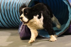 073-SAAC-AKC-24Aug19-ExMstr-JWW